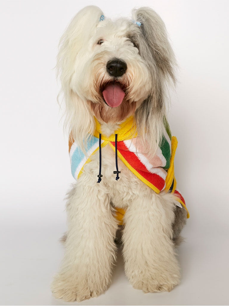 Alaplaya | Poncho de plajă câini | The Painter’s wife Peggy Dog Multicolor Poncho